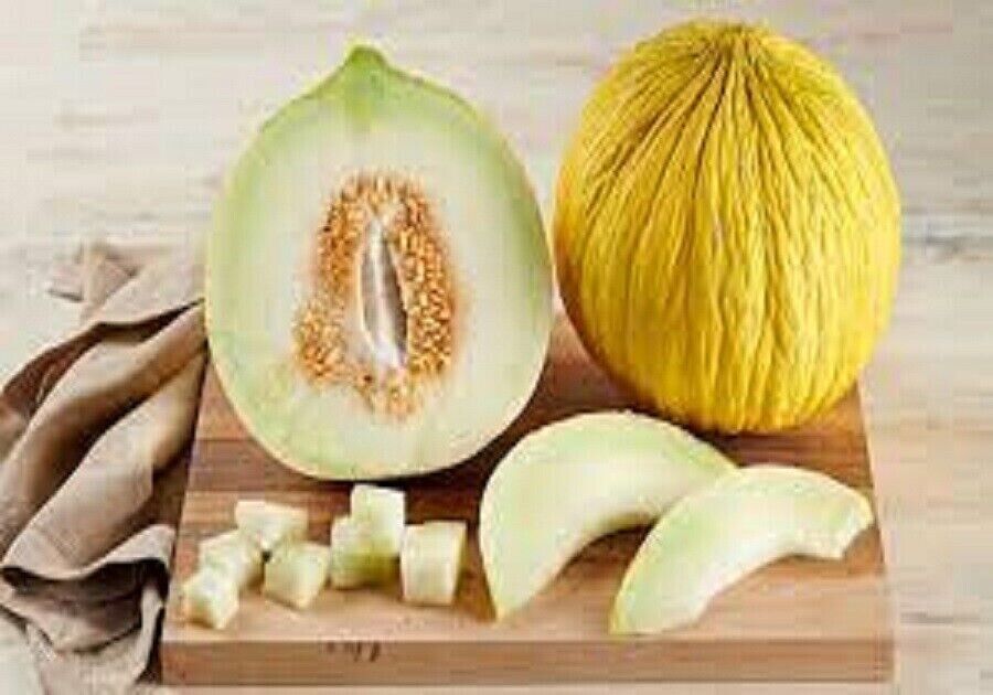 25 Seeds Casaba Melon Planting Easy to Grow Melons Garden