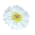 thumbnail image 1 of 25 Sheet Auto-Adhesive Notes Pad Flowers Shape Notes Pad Removable Notes Notepads Note Pad, 1 of 8