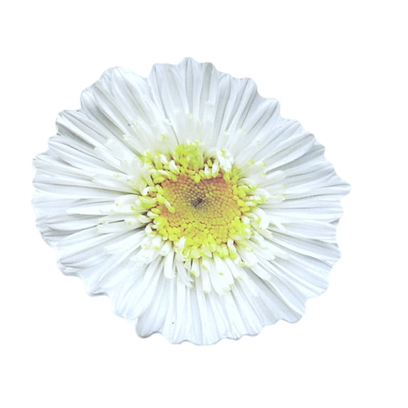 25 Sheet Auto-Adhesive Notes Pad Flowers Shape Notes Pad Removable Notes Notepads Note Pad