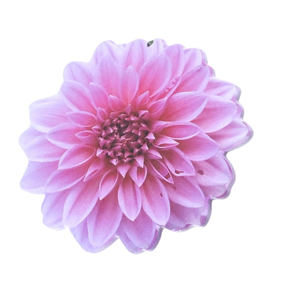 25 Sheet Auto-Adhesive Notes Pad Flowers Shape Notes Pad Removable Notes Notepads Note Pad