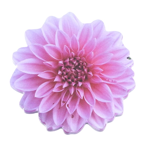 25 Sheet Auto-Adhesive Notes Pad Flowers Shape Notes Pad Removable Notes Notepads Note Pad