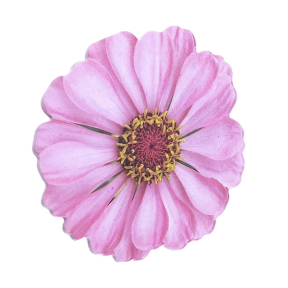 25 Sheets Flowers Shape Designs Stick Note Pad Auto Sticking Memo Pad Stick Pad Stick Notes Pad Auto-Adhesive Notepads