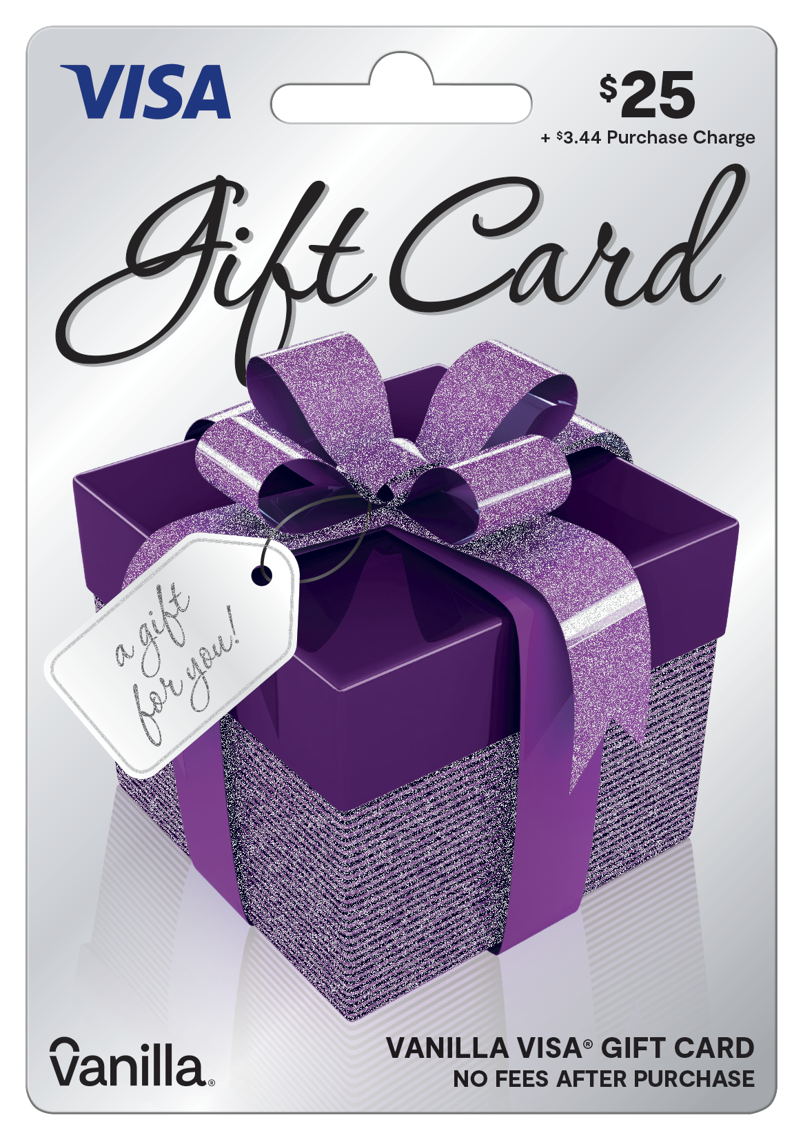 $25 Vanilla® Visa® Gift Box Gift Card (plus $3.44 Purchase Fee) - image 1 of 2