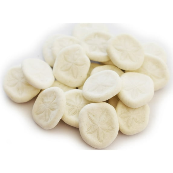 25 White Baby Sea Biscuits (Sea Cookies/Sand Dollars) 1-1 1/2" Beach Wedding Nautical Crafts