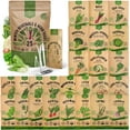 thumbnail image 1 of 25 Winter Vegetable & Herb Garden Seed Variety Pack - 22,845+ Non-GMO Heirloom Seeds for Gardening, 1 of 7