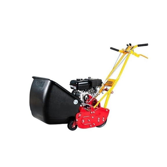 25 in. 10 Blade Briggs & Straton Engine Greens Keeper