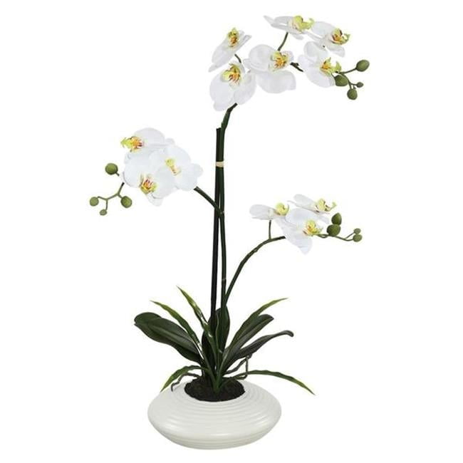 28" White Potted Orchid with Ceramic Container