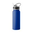 thumbnail image 1 of 25 oz Plain Royal Stainless Flip Top Bottle, 1 of 1