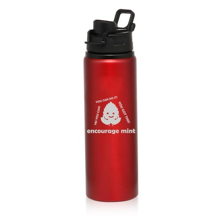25 oz Water Bottle Sports Travel Mug Gift Encourage Mint Funny Motivational Student Coworker Promotion Going Away New Job Gift (Red)