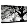 thumbnail image 1 of 25 x 18 Oak Silhouette by PhotoINC Studio- Wall Art Print on Canvas Fabric Black, 1 of 3