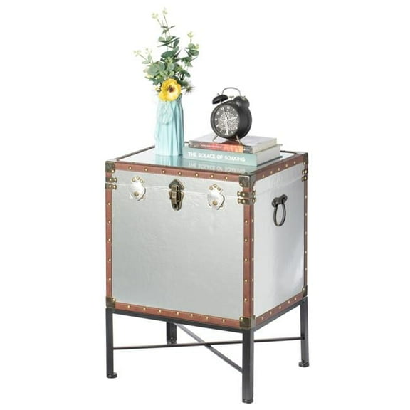 25 x 18 x 14.5 in. Trimmed Faux Leather Lockable Square Lined Storage Trunk on Metal Stand, Silver & Brown