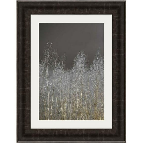25 x 19 in. Silver Forest I Framed Fine Art Print