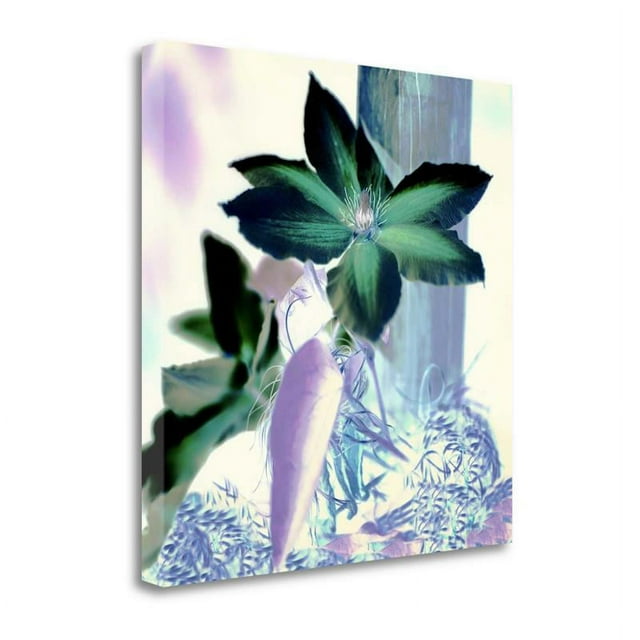 25" x 25" Floral Color - 10 By Alan Blaustein Print on Canvas Fabric Multi-Color