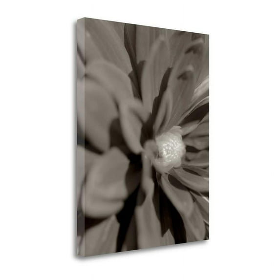 25" x 32" Florison - 6 By Alan Blaustein - Print on Canvas Fabric Multi-Color