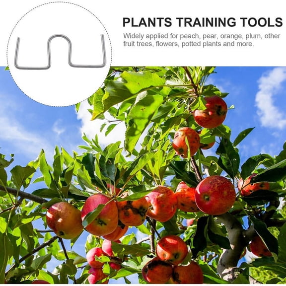 25 x Fruit Tree Branch Puller-Silver