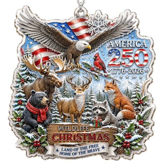 250 Anniversary Christmas Ornament,250th Anniversary Christmas Ornament,Christmas Ornaments 2026,Christmas Tree Ornament,Usa 1776-2026 Keepsake,Patriotic 250th Anniversary Decorations