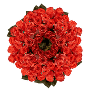 GLOBALROSE 250 Assorted Orange Roses- Beautiful Fresh Cut Flowers- Express Delivery