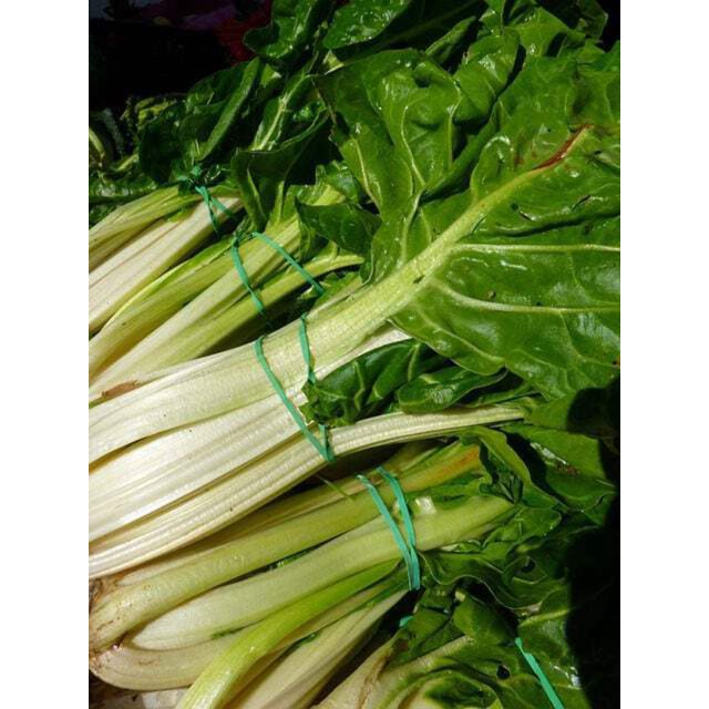 Chard Rib Eye 250 *Seeds BARESE SWISS CHARD White Rib Perpetual Spinach Beta Vulgaris ...