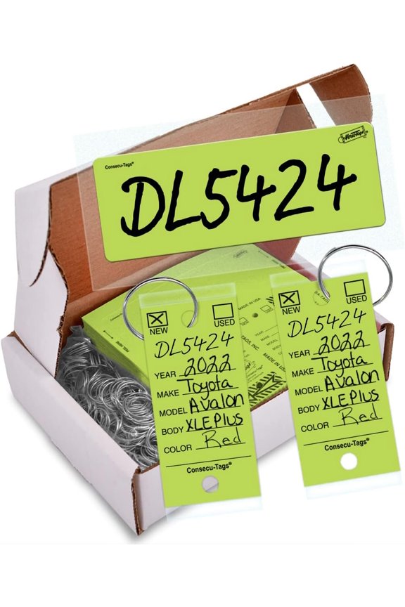 250 Key Tags with Rings Plus 125 Blank Inventory Stock Number Window Stickers Dealer Inventory System 250 Car Key Tags with Labels (Lime Green)