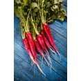 thumbnail image 1 of 250 Seeds RED ARROW SPROUTING RADISH MiniGreen Daikon Raphanus Sativus Vegetable Seeds, 1 of 8