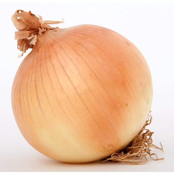 250 *Seeds SWEET WALLA WALLA ONION Allium Cepa Vegetable Seeds