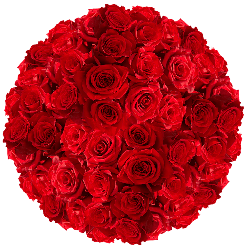 250 Assorted Red Roses Beautiful Fresh Cut Flowers Express Delivery