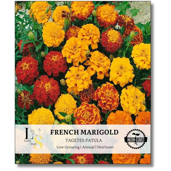 2500 French Marigold Seeds (Petite Mixture) MVR1- Annual, Compact, Heat & Drought Tolerant Flower Seeds for Planting, Ideal for Vibrant Pollinator Gardens, Non-GMO, Open Pollinated