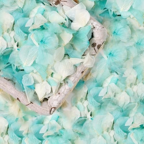 2500 Pieces Hydrangea Flower Petals 1.76 oz Blue White Real Nature Dried Flower Petal for Weddings, Party Flower Confetti, Valentine's Day, Flower Girl Baskets, Romantic Night, Proposal Decor