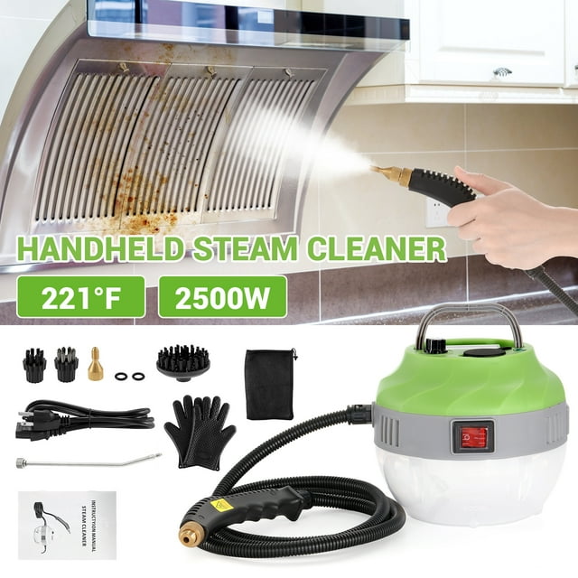 BEAMNOVA 2500W Portable Handheld HighPressure & HighTemp Household Steamer, Gray & Green