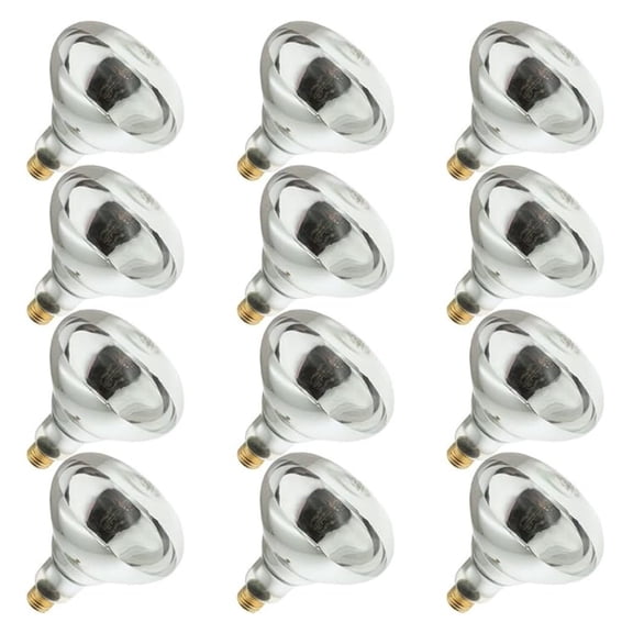 250R40/1, 250 Watt, 120 Volt, R40 Glass Size, 5000 Hour Life, Medium Screw (E26) Base,Infrared Reflector Heat Lamp Light Bulb (12 Bulbs)