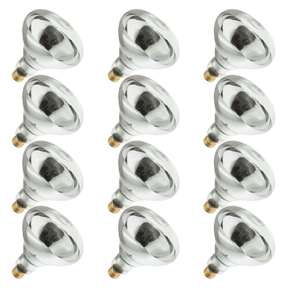 250R40/1, 250 Watt, 120 Volt, R40 Glass Size, 5000 Hour Life, Medium Screw (E26) Base,Infrared Reflector Heat Lamp Light Bulb (12 Bulbs)