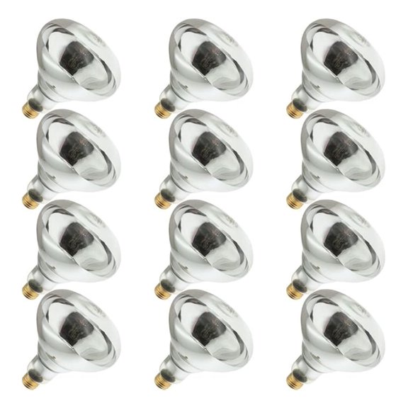 250R40/1, 250 Watt, 120 Volt, R40 Glass Size, 5000 Hour Life, Medium Screw (E26) Base,Infrared Reflector Heat Lamp Light Bulb (12 Bulbs)