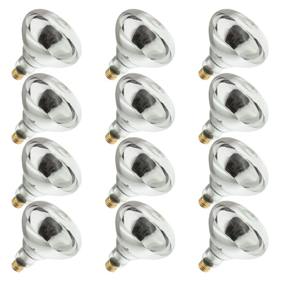 250R40/1, 250 Watt, 120 Volt, R40 Glass Size, 5000 Hour Life, Medium Screw (E26) Base,Infrared Reflector Heat Lamp Light Bulb (12 Bulbs)