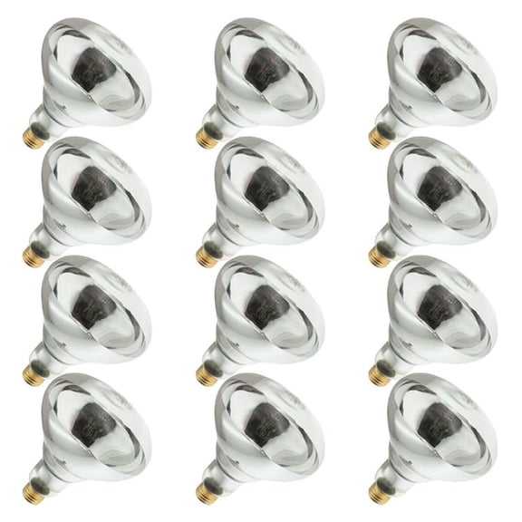 250R40/1, 250 Watt, 120 Volt, R40 Glass Size, 5000 Hour Life, Medium Screw (E26) Base,Infrared Reflector Heat Lamp Light Bulb (12 Bulbs)