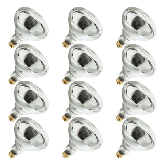 250R40/1, 250 Watt, 120 Volt, R40 Glass Size, 5000 Hour Life, Medium Screw (E26) Base,Infrared Reflector Heat Lamp Light Bulb (12 Bulbs)