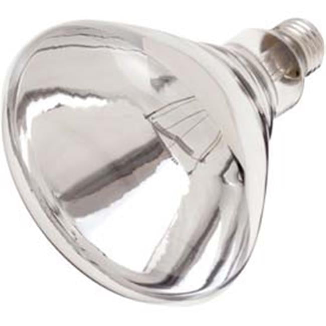 250W Incandescent with Medium Base Bulb