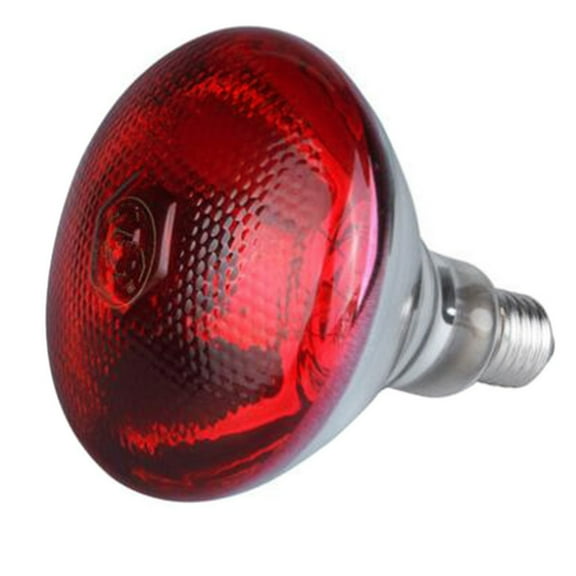 250W Infrared Heat Lamp Bulb High Intensity Brooder Light For Poultry And Livestock Farming Efficient Thermal Energy Source