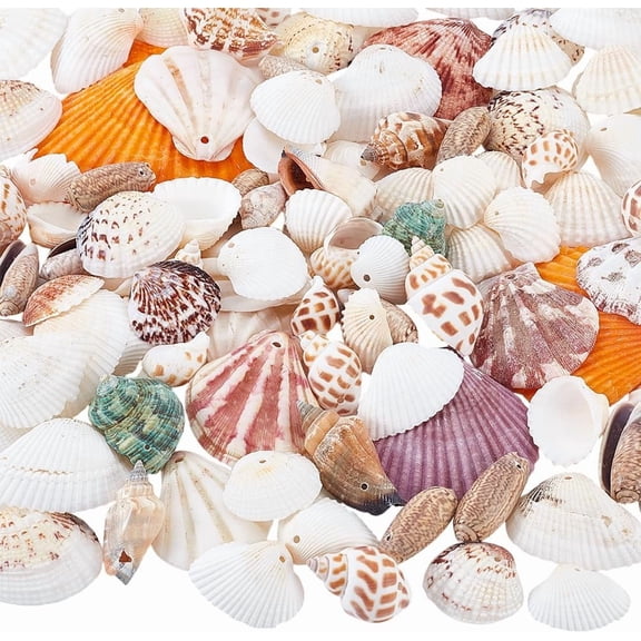 250g(97pcs) Natural Seashells Beads 31~68mm Ocean Sea Beach Seashells Spiral Sea Shell Beads with 1.6~2mm Hole for DIY Making