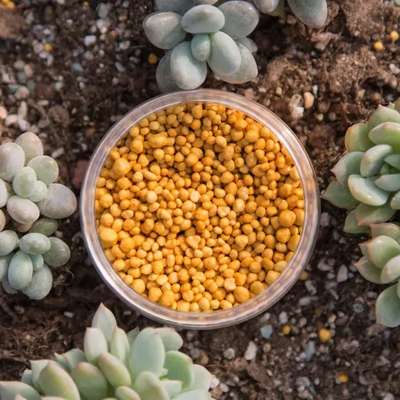 250g Slow Release Plant Fertilizer, Compound Granules for Bonsai Succulents Vegetables and Potted Plants