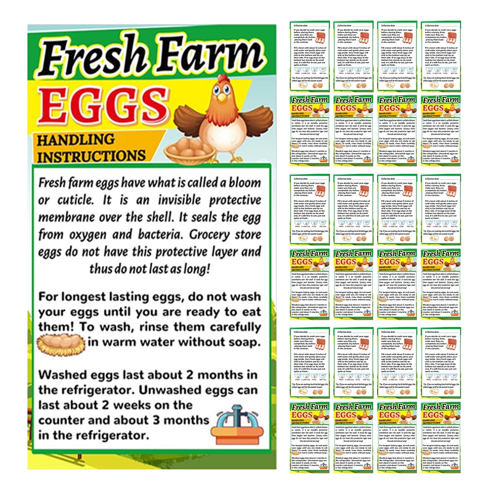 250pcs-farm-fresh-egg-care-cards-egg-handling-cards-chicken-eggs-handling-instructions-walmart-com