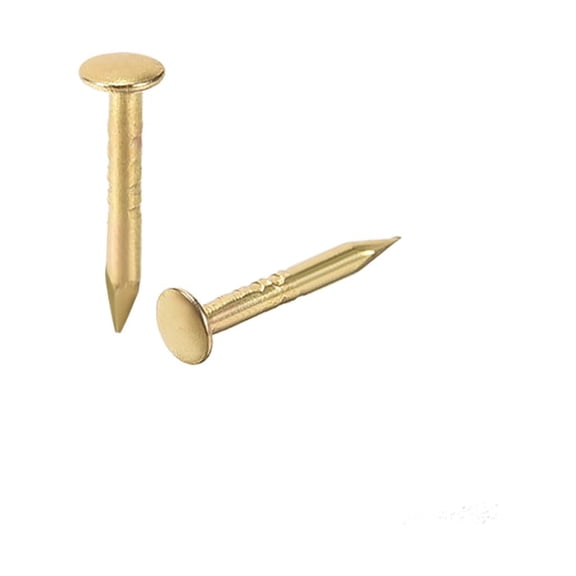 250pcs Small Tiny Nails 1mm x 8mm for DIY Decorative Household Accessories Gold Tone for Home Garden DIY Application