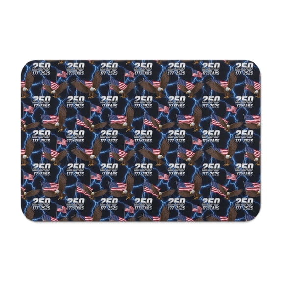 250th Anniversary American Pattern Diatomite Bath Mat, Entryway Floor ...