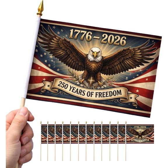 250th Anniversary USA Handheld Flags, 5.5 x 8.3 Inch Small American Flags on Stick, 1776-2026 Patriotic Mini Flags for Parade, Party, Classroom, Yard Decor (25, Style 3) : Patio, Lawn & Garden