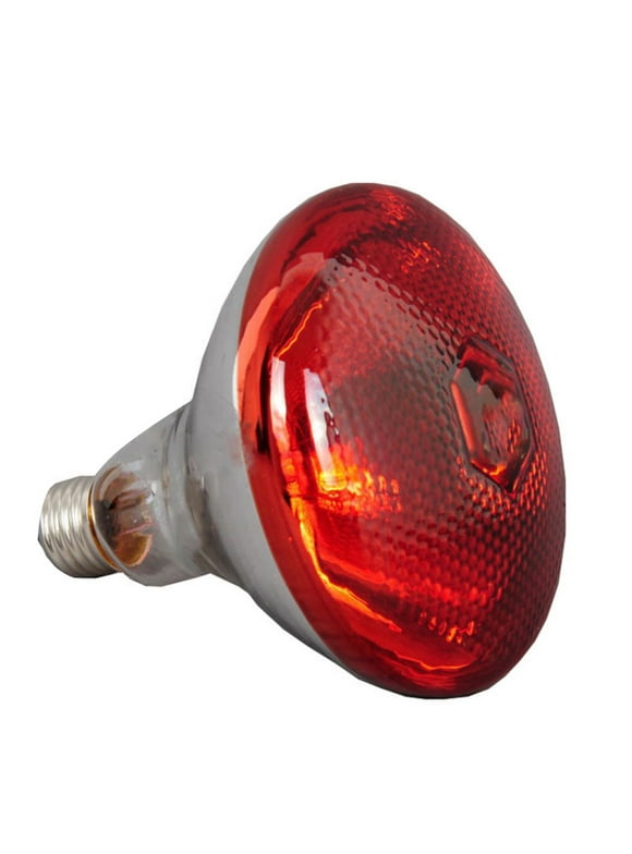 Heat Lamp Bulbs in Specialty Light Bulbs