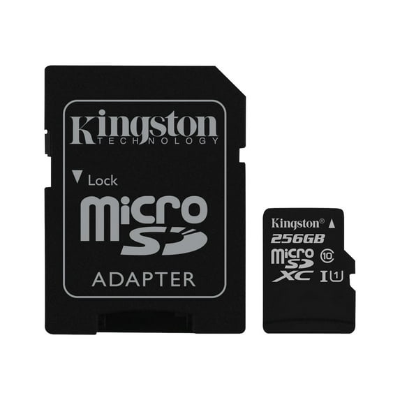 256GB Class 10/UHS-I microSDXC Card