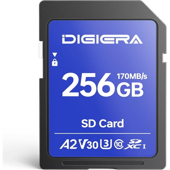 256GB LS100 SDXC UHS-I Memory Card - up to 170MB/s, C10, U3, V30, 4K UHD, SD Card for Computers, Digital Cameras, Home Theatre Devices, Car Navigation Systems (1 Pack)