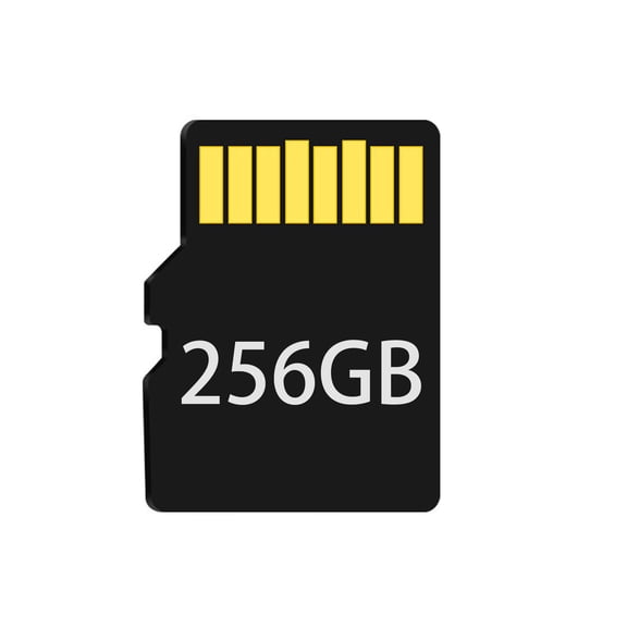 256GB Micro SD Card Compatible with Smartphones,Tablets,Drones,Card Speaker,Dashcam&Security Cam U1/U2/C10