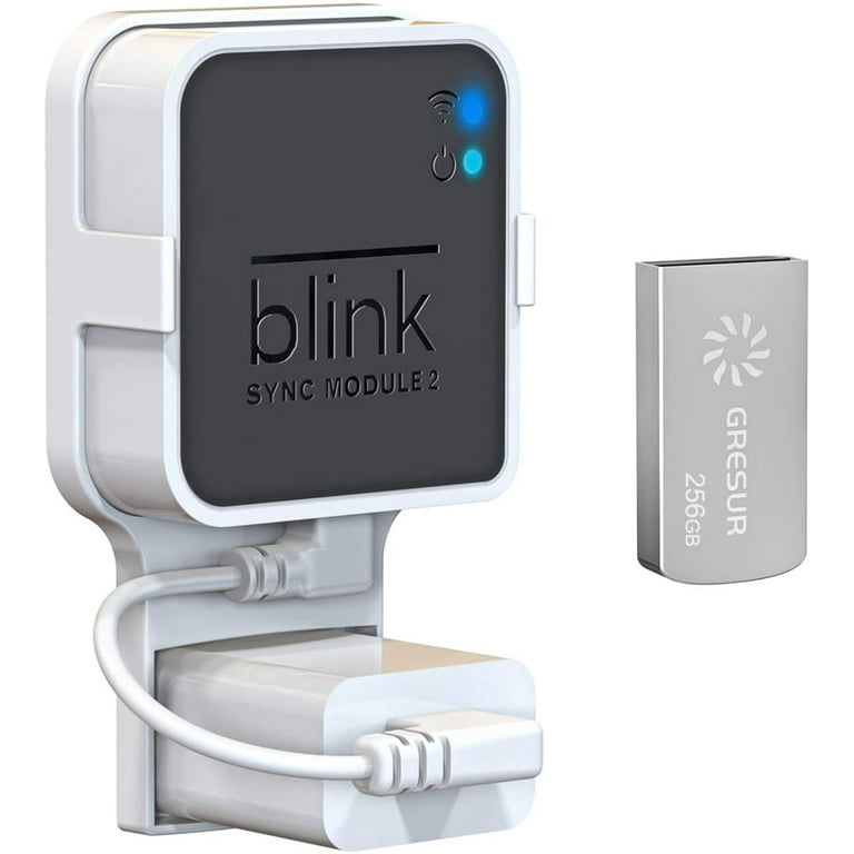  Blink Add-On Sync Module 2 : Electronics