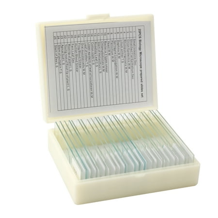 25PCS/Set Biological Glass Sample Prepared Basic Animal Plants Insects Tissues Science Cover Slips Portable Educational Microscope Slides
