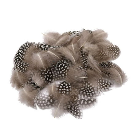 25Pairs Dyed Guinea Hen Chicken s Craft Embellishment Beige